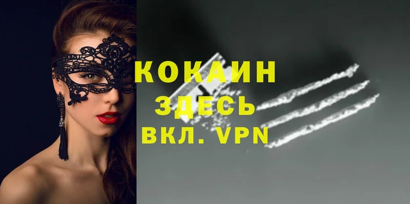 Где купить наркотики Находка COCAIN  Псилоцибиновые грибы  Гашиш  APVP  Канабис  МЕФ 